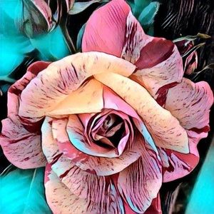 Meet your Posher, Courtney